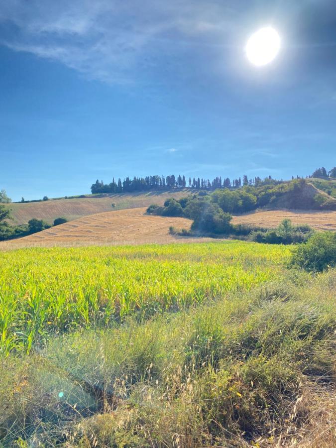 Agriturismo I Moricci Peccioli Екстер'єр фото