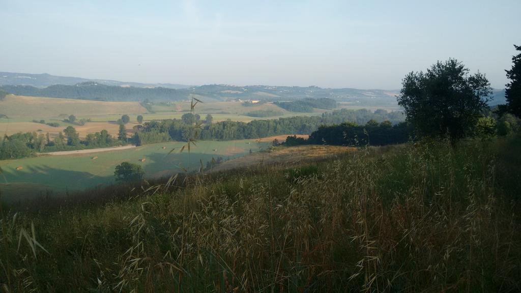 Agriturismo I Moricci Peccioli Екстер'єр фото