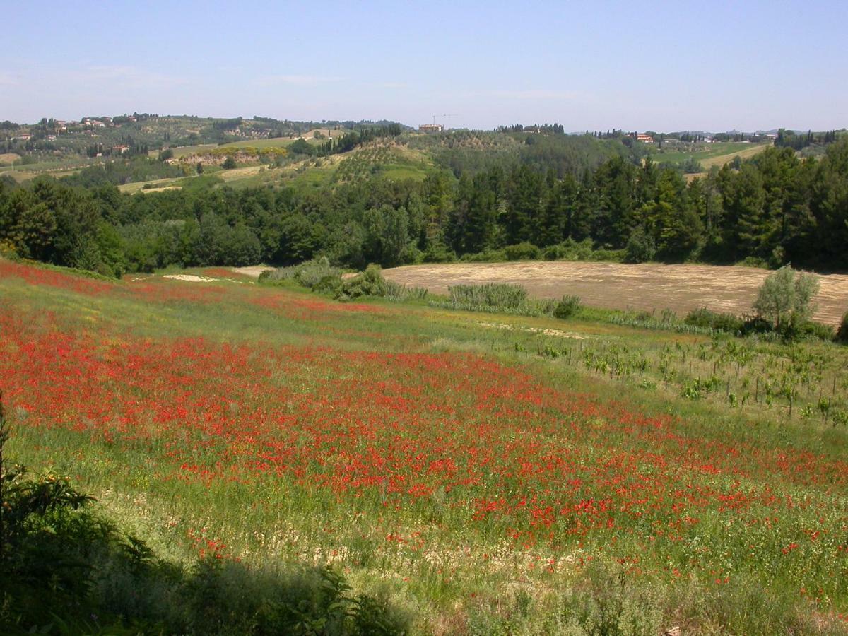 Agriturismo I Moricci Peccioli Екстер'єр фото